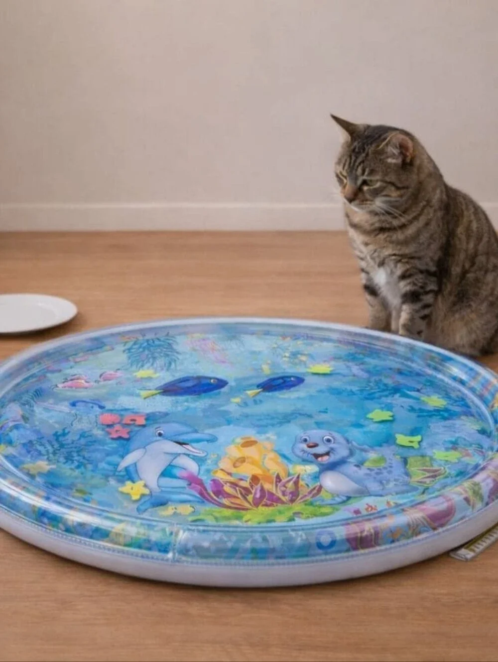 AquaPaw Claw-Resistant Water Mat Baby Dog & Cat Water Mat Toy! Interactive